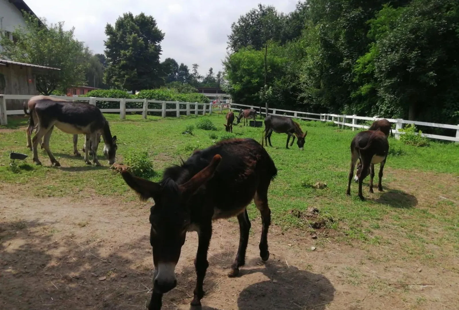 Vakantieboerderij Agriturismo La Fornace Centro Ippico Como