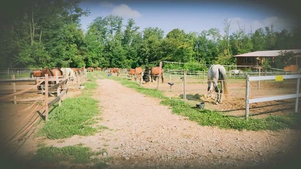 Vakantieboerderij Agriturismo La Fornace Centro Ippico Como Italië