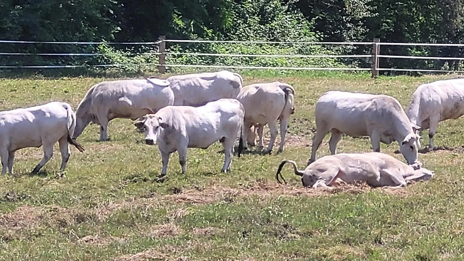 Agroturismo Agriturismo La Fornace Centro Ippico Como