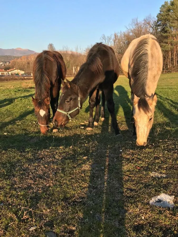 Agroturismo Agriturismo La Fornace Centro Ippico Como
